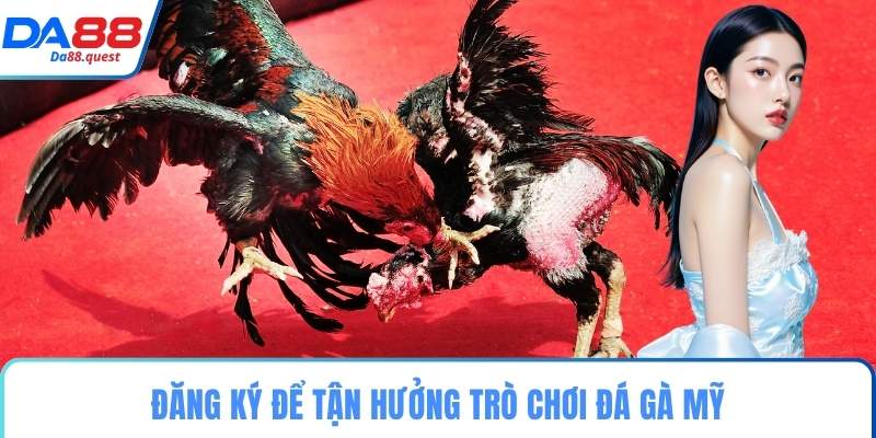 Đăng ký để tận hưởng trò chơi đá gà mỹ