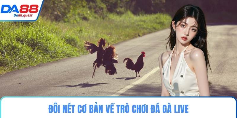 Đôi nét cơ bản về trò chơi đá gà live
