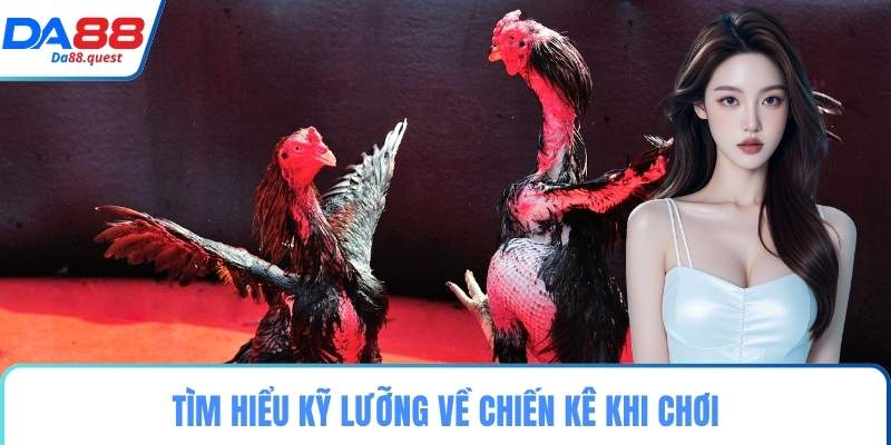 Tìm hiểu kỹ lưỡng về chiến kê khi chơi